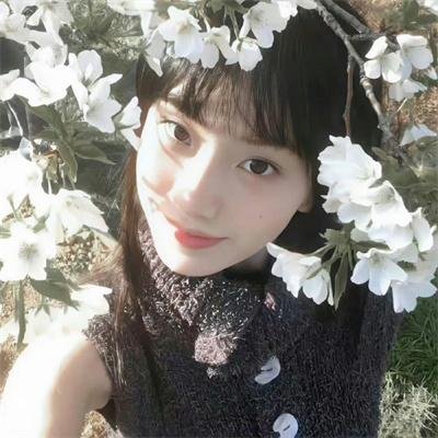 我的如意狼君国语