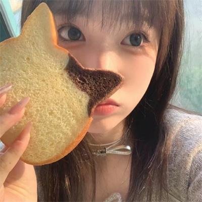 觅法奇程